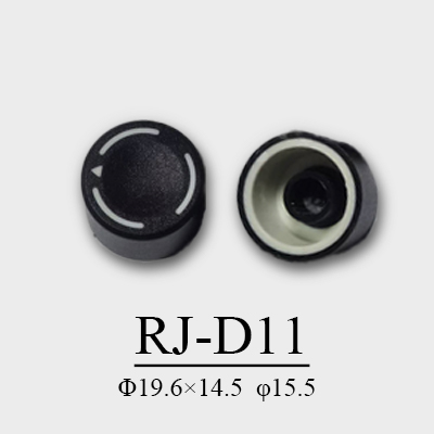 RJ-D11
